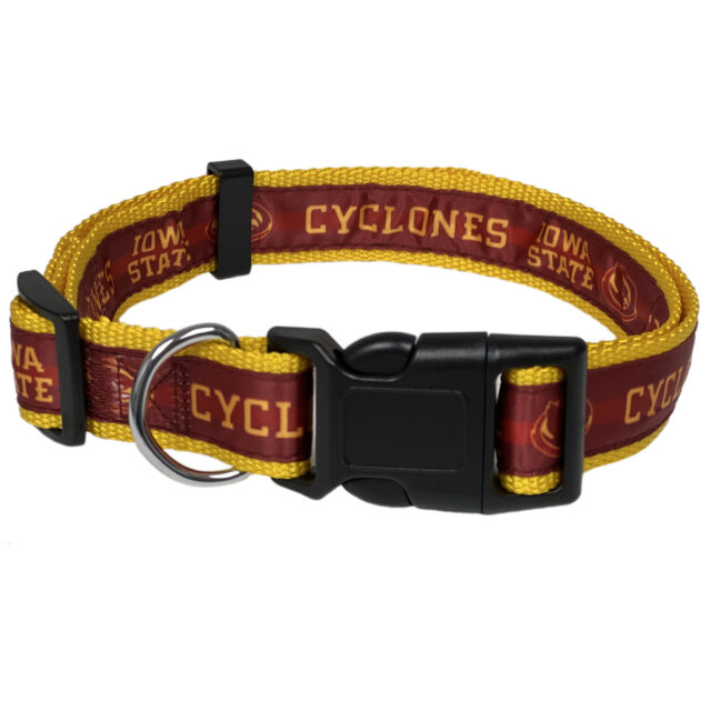 Iowa State Satin Collar - Image 3