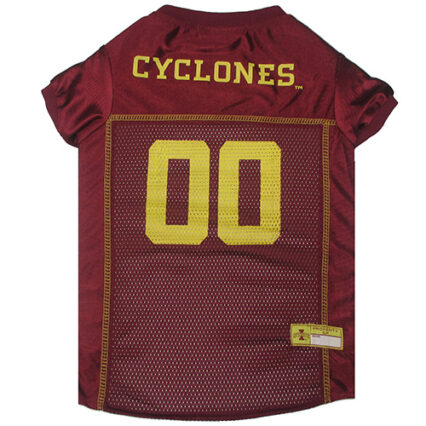 Iowa State Collegiate Pet Jersey Style 1