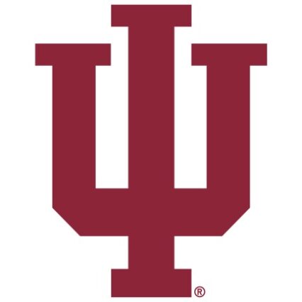 Indiana Basketball Pet Jersey