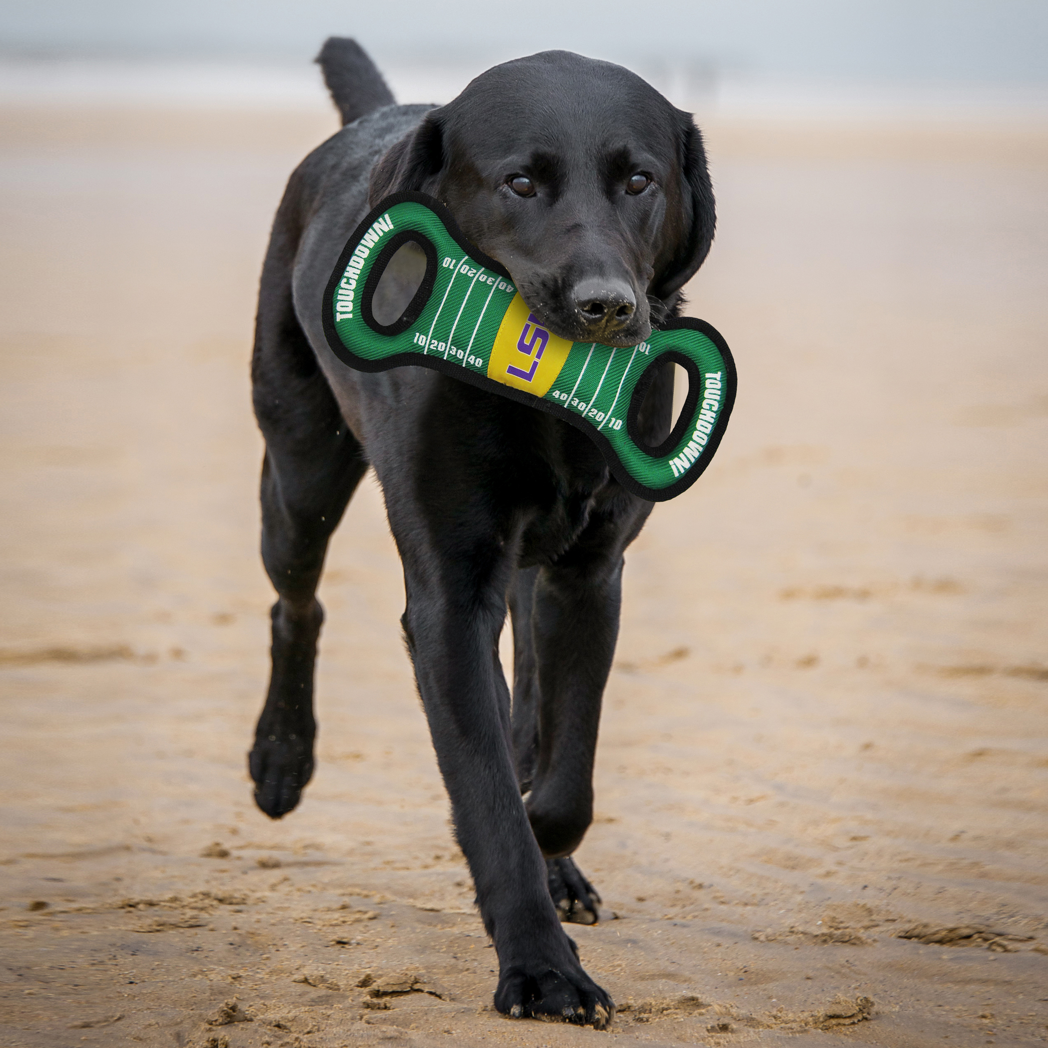 LSU Football Field Tug Toy - Image 2