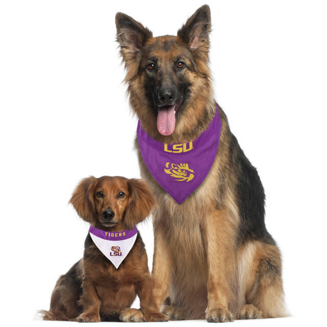 LSU Collegiate Revesible Pet Bandana Style 1 - Image 2