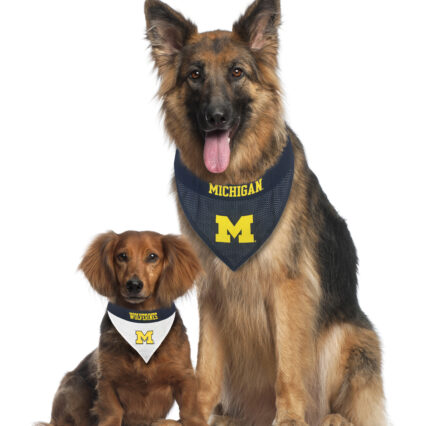 Michigan Reversible Pet Bandana Style 1