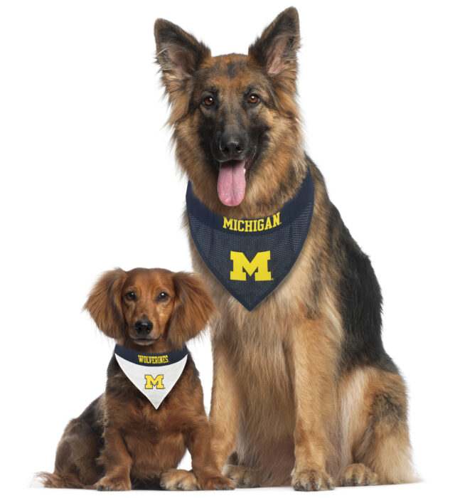 Michigan Reversible Pet Bandana Style 1
