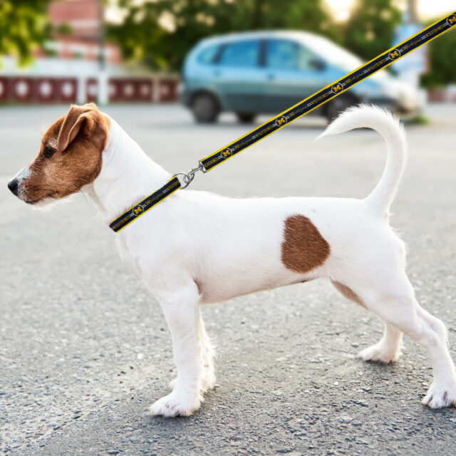 Michigan Satin Leash - Image 2