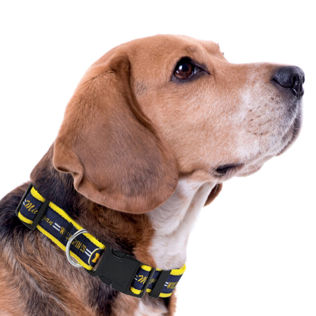 Michigan Satin Collar - Image 2