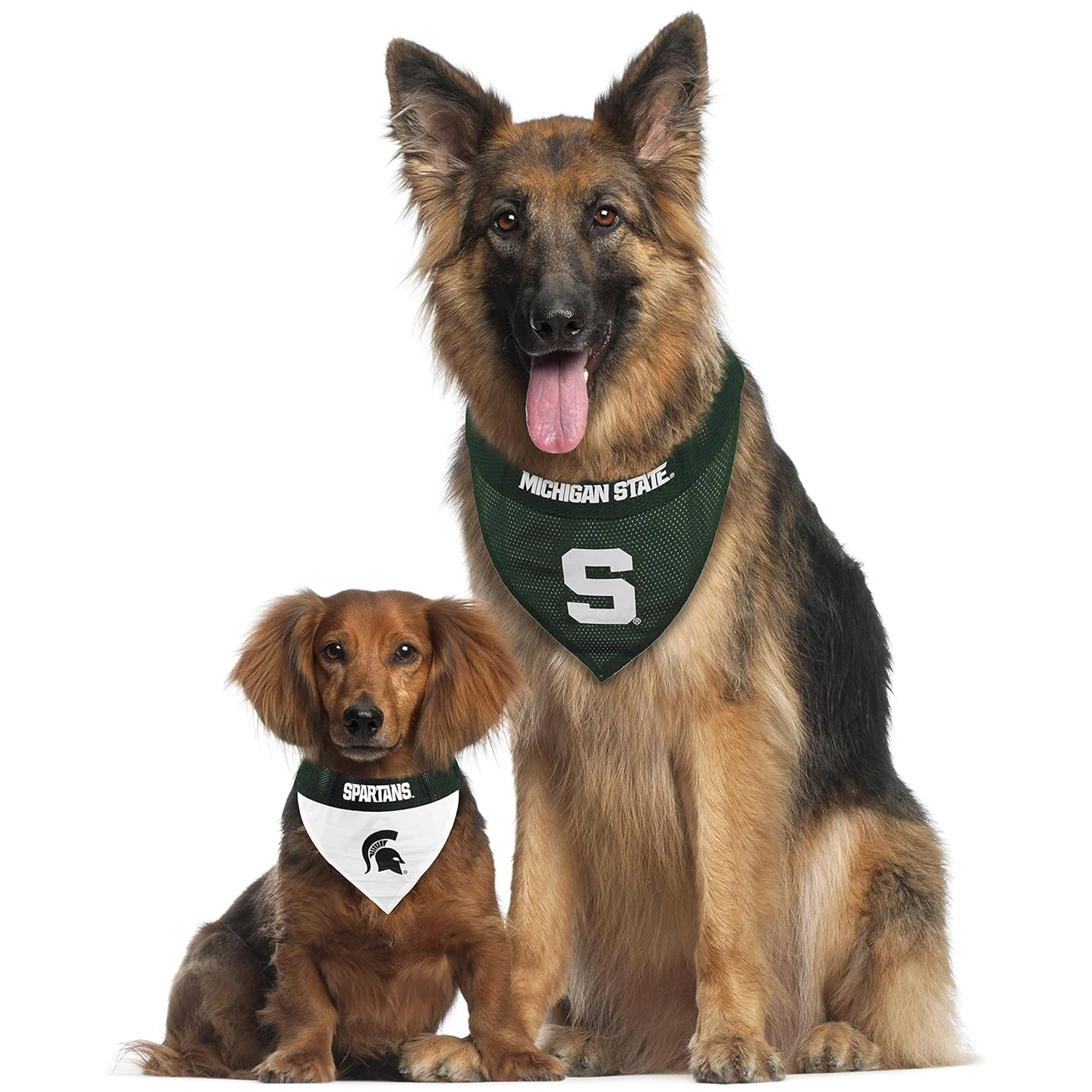 Michigan State Reversible Pet Bandana Style 1 - Image 2