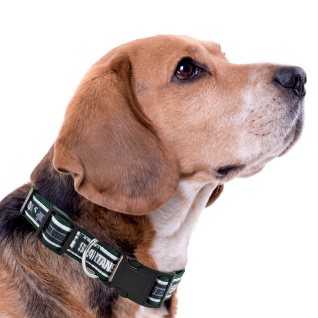 Michgian State Satin Collar - Image 4