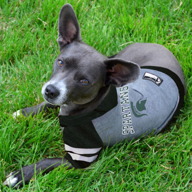 Michigan State Pet Hoodie Tee Shirt - Image 2
