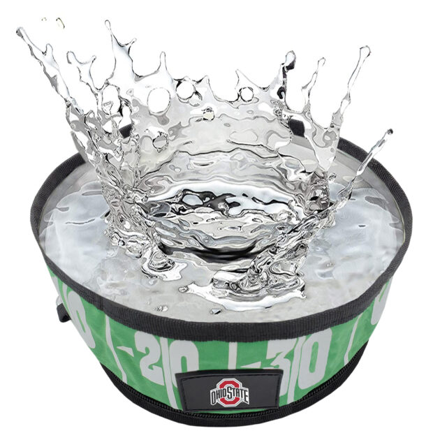 Ohio State Collapsible Bowl - Image 3