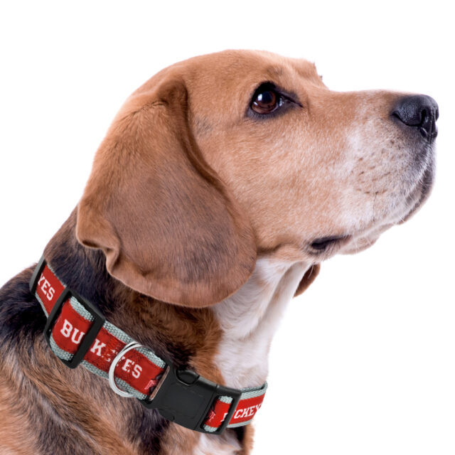 Ohio State Satin Collar - Image 4