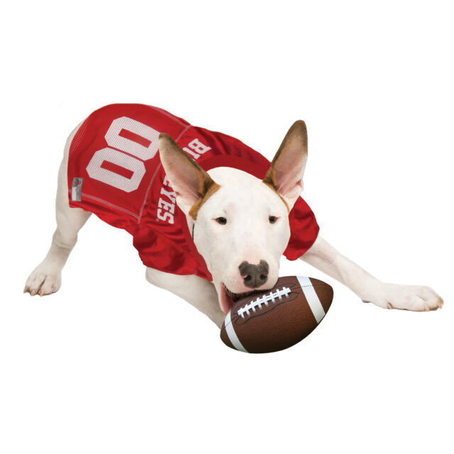 Ohio State Collegiate Pet Jersey Style 1 - Image 2