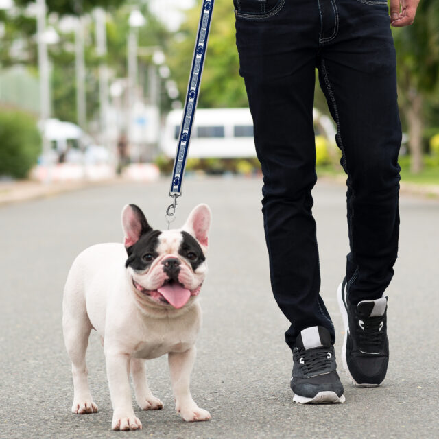 Penn State Satin Leash - Image 2