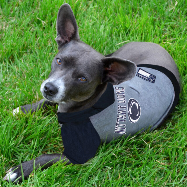 Penn State Pet Hoodie Tee Shirt - Image 2