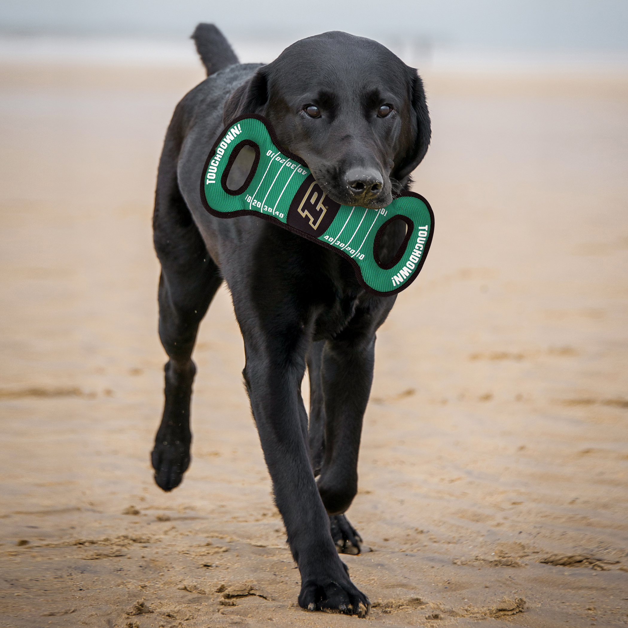 Purdue Football Field Tug Toy - Image 2