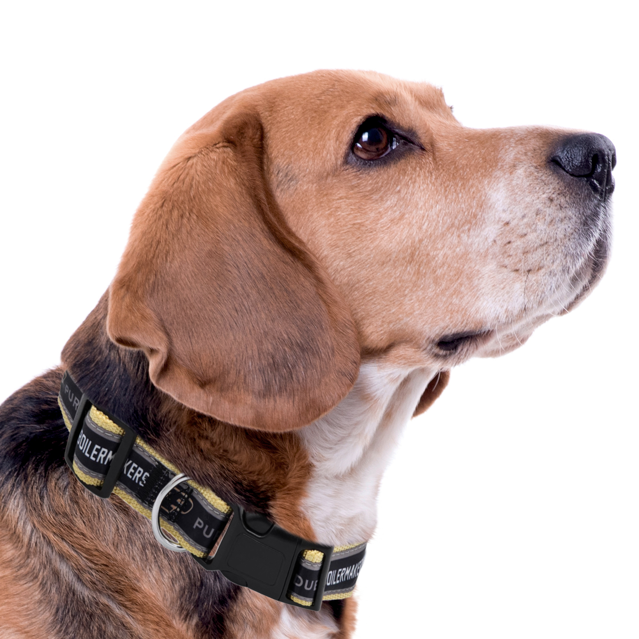 Purdue Satin Collar - Image 2