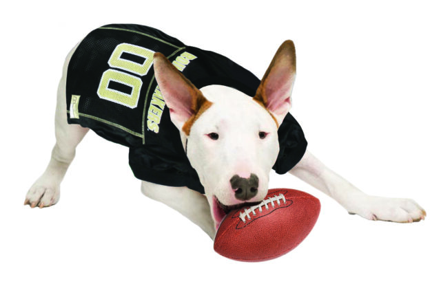 Purdue Collegiate Pet Jersey Style 1 - Image 5