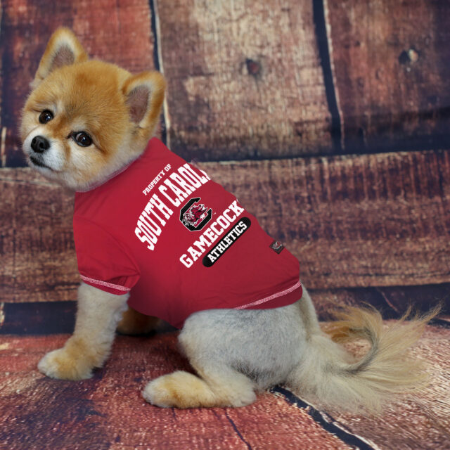 South Carolina Tee Shirt - Image 2