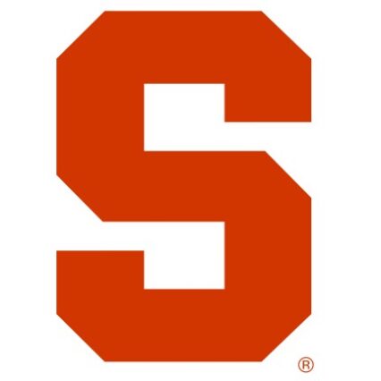 Syracuse Satin Leash