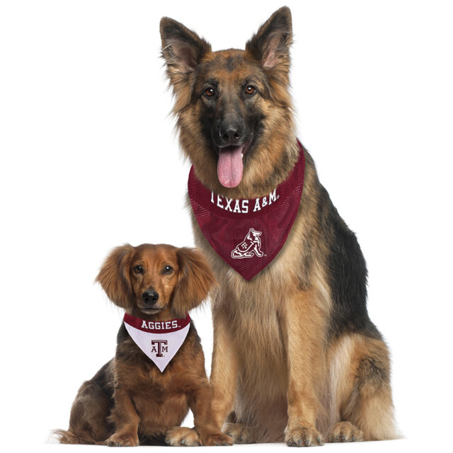 Texas A & M Reversible Pet Bandana Style 1 - Image 3