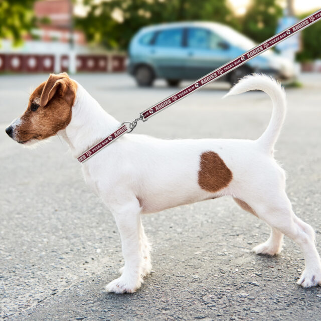 Texas A & M Satin Leash - Image 3