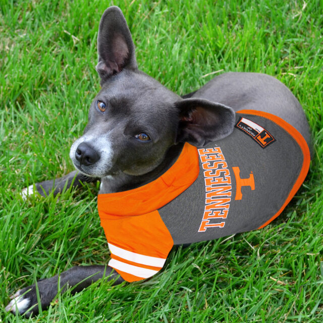Tennessee Pet Hoodie Tee Shirt - Image 2