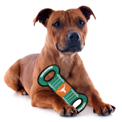 Texas Football Tug Toy
