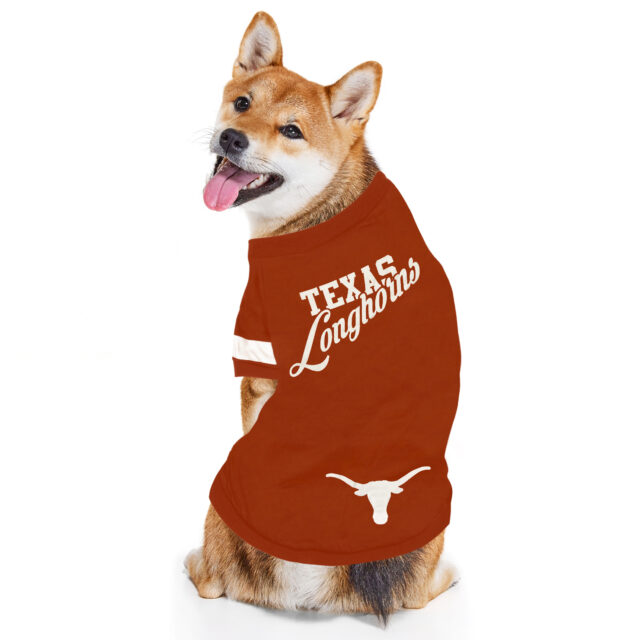 Texas Striped Tee Shirt - Image 2