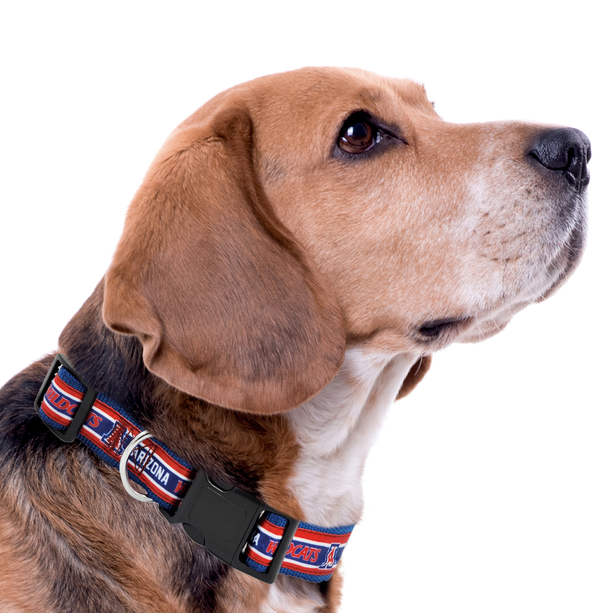 University of Arizona Satin Collar - Image 2
