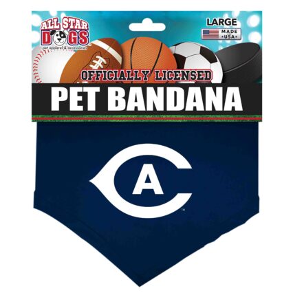 UC Davis Pet Bandana Style 2