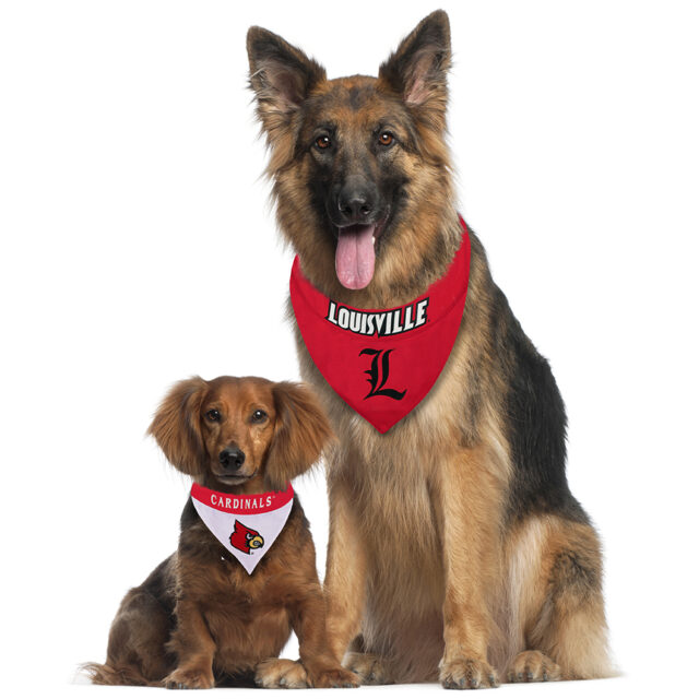 Louisville Reversible Pet Bandana Style 1 - Image 2