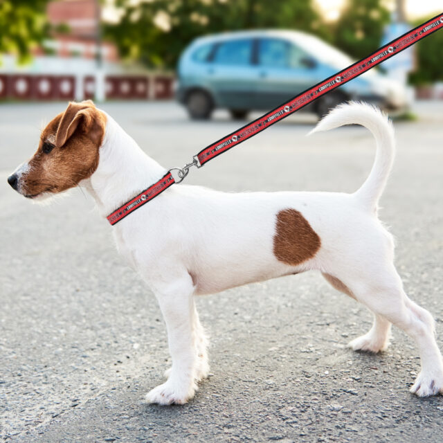 Louisville Satin Leash - Image 3