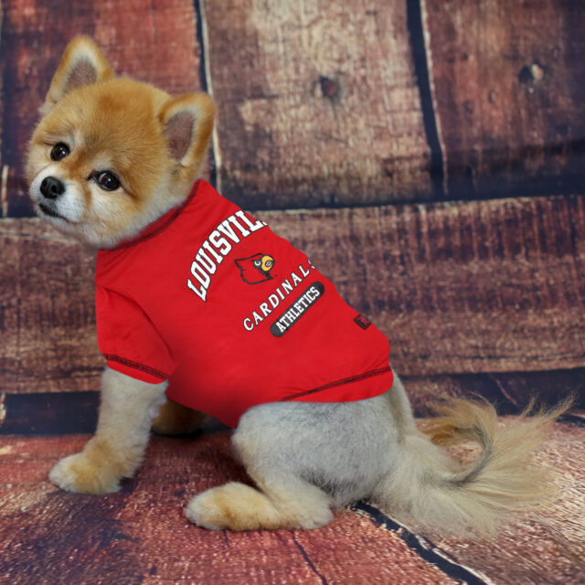 Louisville Tee Shirt - Image 2