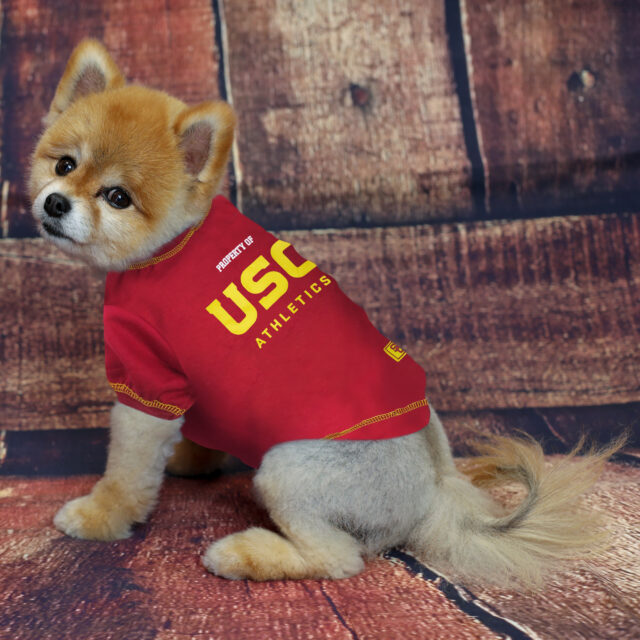 USC Collegiate Tee Shirt - Image 2