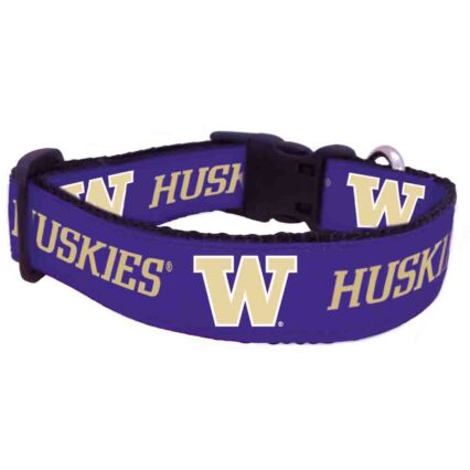 Washington Pet Collar Style 2