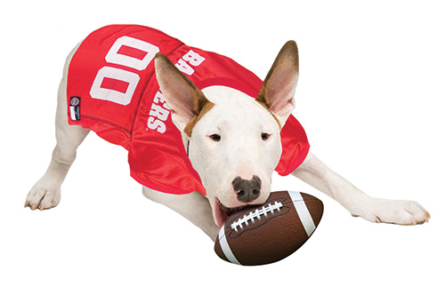 Wisconsin Collegiate Pet Jersey Style 1 - Image 3