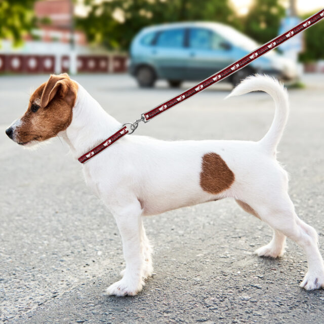 Alabama Satin Leash - Image 3