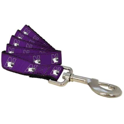 Northwestern Pet Leash Style 2