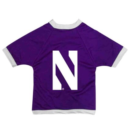 Northwestern Mesh Pet Jersey Style 2