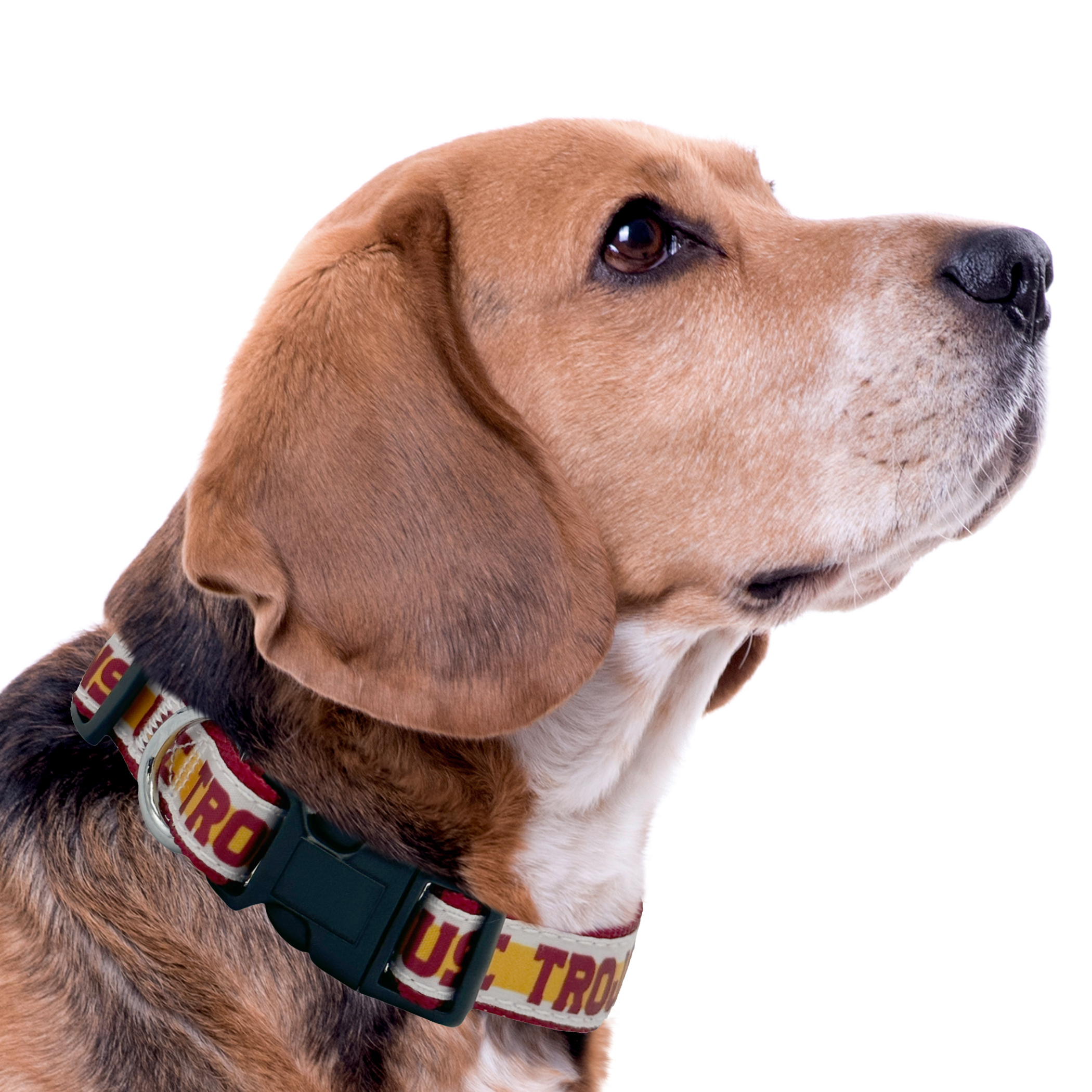 USC Satin Collar - Image 4