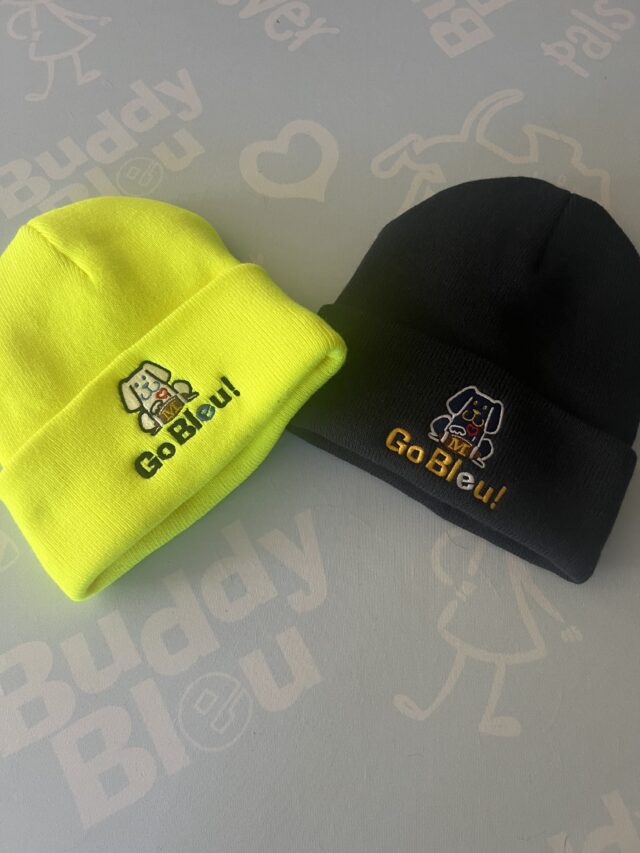 Michigan Go Bleu! Fleece-Lined Beanie