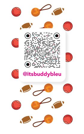Buddy Bleu-TikTok QR graphic-26
