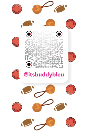 tiktok_qr